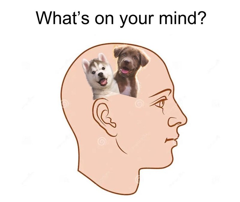 What's on your mind?
