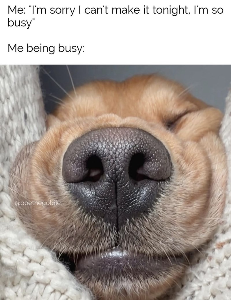 Me: "I'm sorry I can't make it tonight, I'm so busy" Me being busy: @poethegoldie