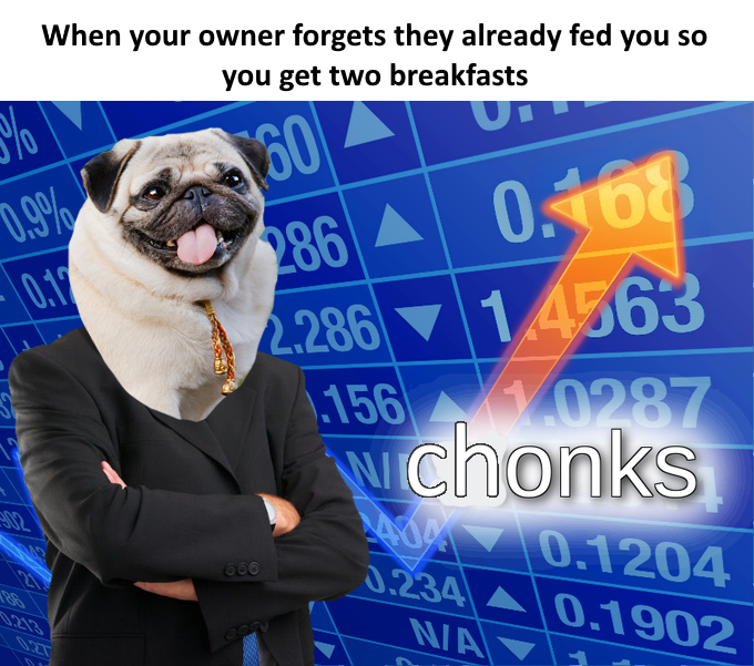 5% When your owner forgets they already fed you so you get two breakfasts 0.9% 60 0.12 286 0.168 302 21 88 0213 02T 666 2.286 1.4563 156 0287 chonks 404 0.1204 0.234 0.1902 N/AY