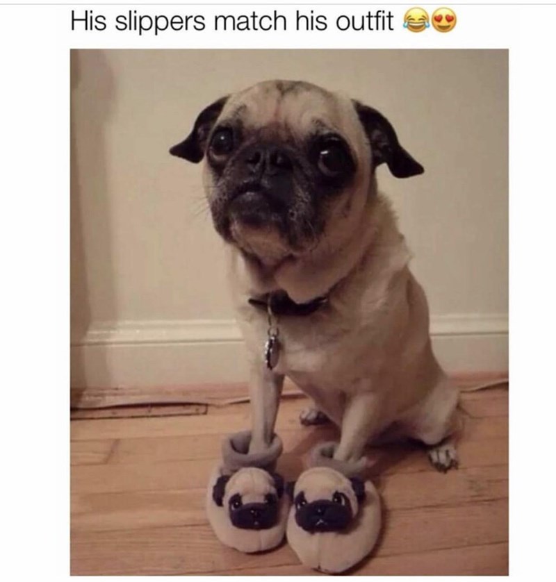 His slippers match his outfit.