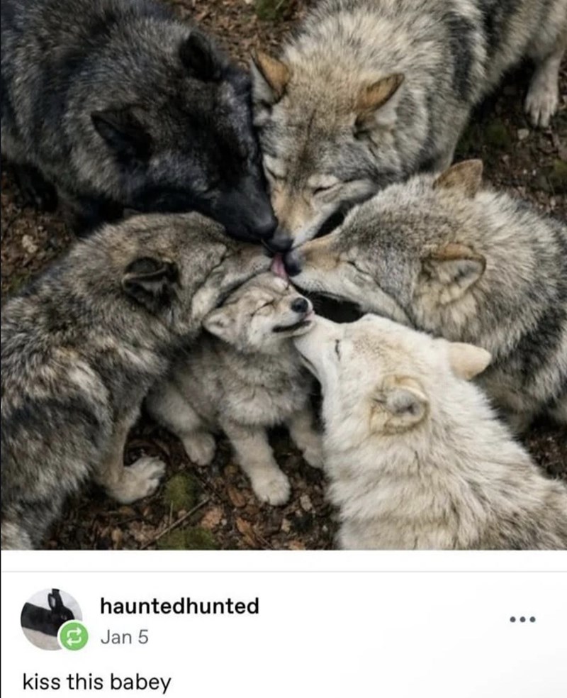 hauntedhunted Jan 5 kiss this babey