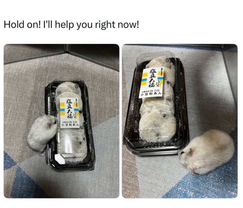 Hold on! I'll help you right now! 塩豆大福 消费用24.2.23 小豆粒あん ALANC 塩豆大福 20瓶mm24.2.23 小豆粒あん