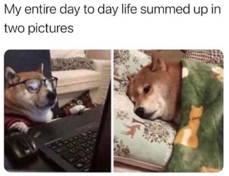 My entire day to day life summed up in two pictures