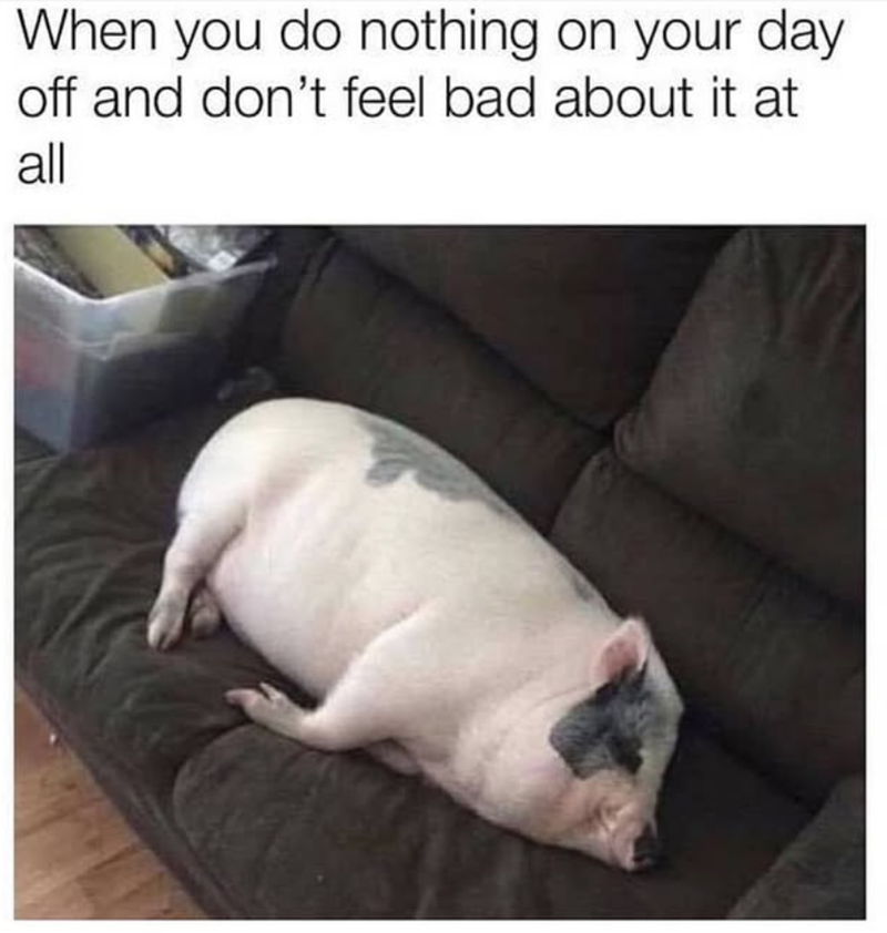When you do nothing on your day off and don't feel bad about it at all