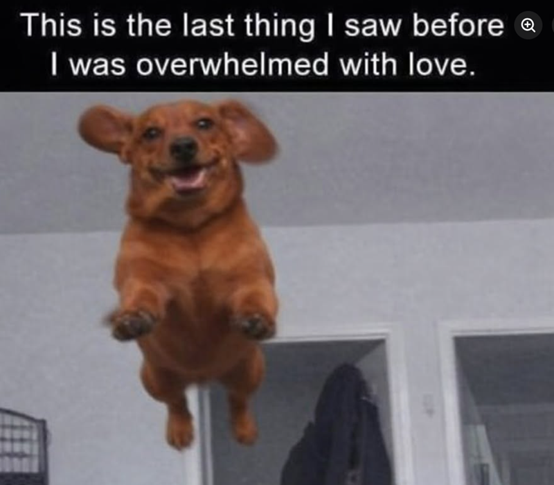This is the last thing I saw before @ I was overwhelmed with love.