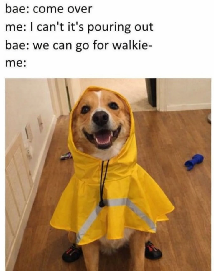 bae: come over me: I can't it's pouring out bae: we can go for walkie- me:
