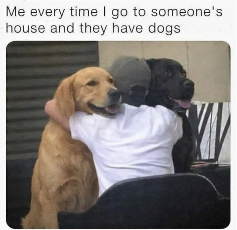 Me every time I go to someone's house and they have dogs W