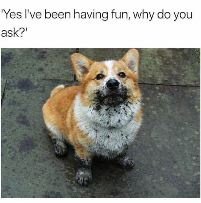 'Yes I've been having fun, why do you ask?'