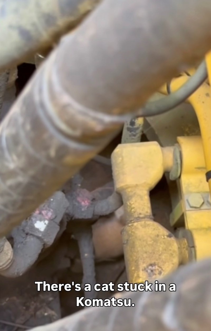 There's a cat stuck in a Komatsu.
