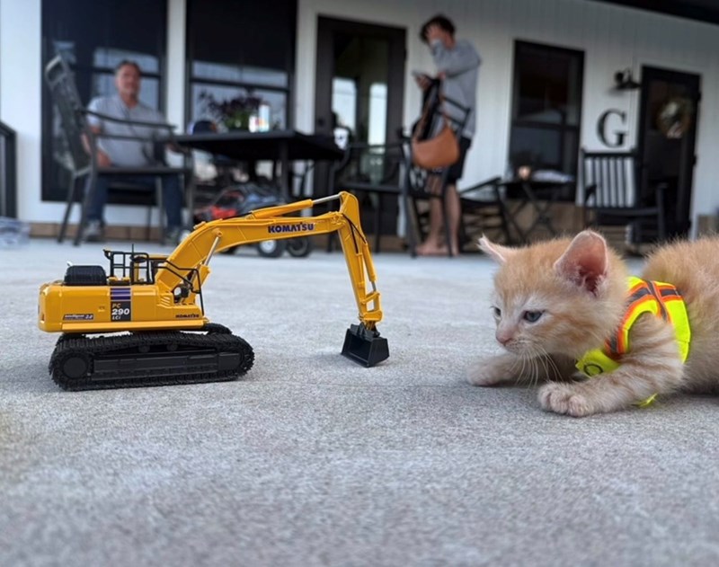 HA KOMATSU 290 G