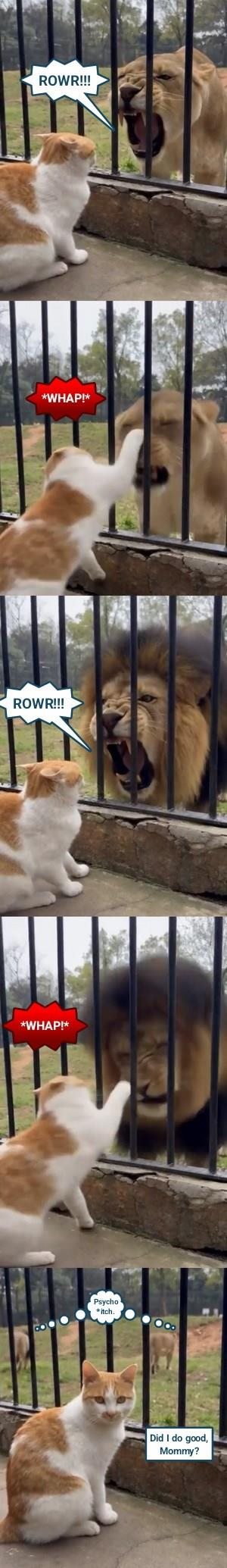 ROWR!!! *WHAP!* ROWR!!! *WHAP!* Psycho *itch. Did I do good, Mommy?