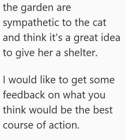 the garden are sympathetic to the cat and think it's a great idea to give her a shelter. I would like to get some feedback on what you think would be the best course of action.