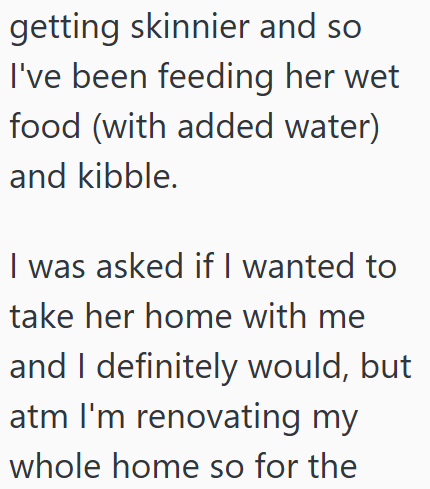 getting skinnier and so I've been feeding her wet food (with added water) and kibble. I was asked if I wanted to take her home with me and I definitely would, but atm I'm renovating my whole home so for the