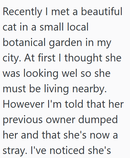 Recently I met a beautiful cat in a small local botanical garden in my city. At first I thought she was looking wel so she must be living nearby. However I'm told that her previous owner dumped her and that she's now a stray. I've noticed she's