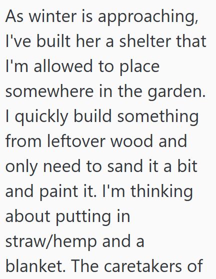 As winter is approaching, I've built her a shelter that I'm allowed to place somewhere in the garden. I quickly build something from leftover wood and only need to sand it a bit and paint it. I'm thinking about putting in straw/hemp and a blanket. The caretakers of