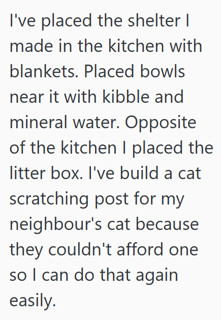I've placed the shelter I made in the kitchen with blankets. Placed bowls near it with kibble and mineral water. Opposite of the kitchen I placed the litter box. I've build a cat scratching post for my neighbour's cat because they couldn't afford one so I can do that again easily.