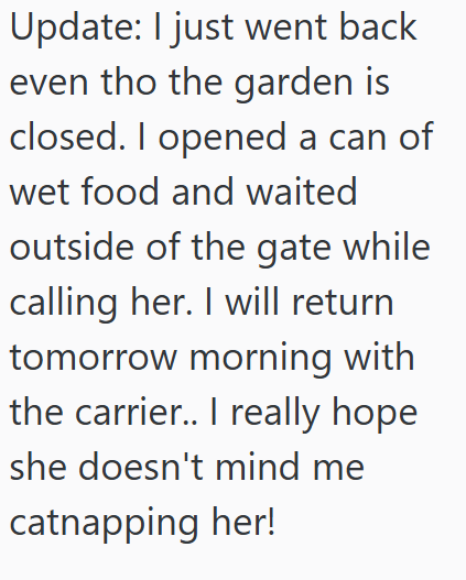 Update: I just went back even tho the garden is closed. I opened a can of wet food and waited outside of the gate while calling her. I will return tomorrow morning with the carrier.. I really hope she doesn't mind me catnapping her!
