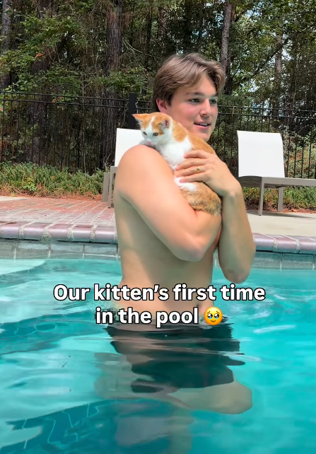 Our kitten's first time in the pool