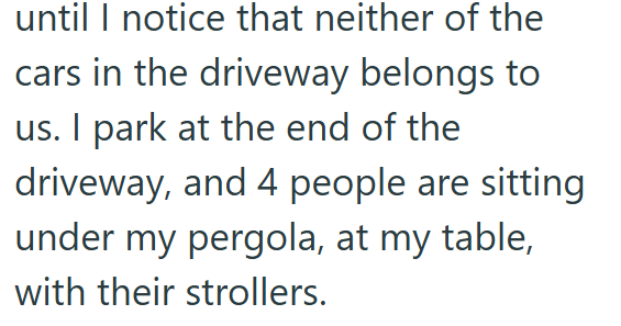 until I notice that neither of the cars in the driveway belongs to us. I park at the end of the driveway, and 4 people are sitting under my pergola, at my table, with their strollers.