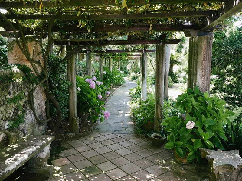 Lush private garden with wooden pergola.
