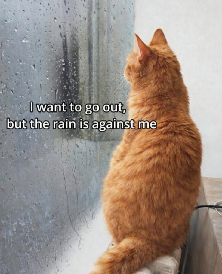 I want to go out, but the rain is against me