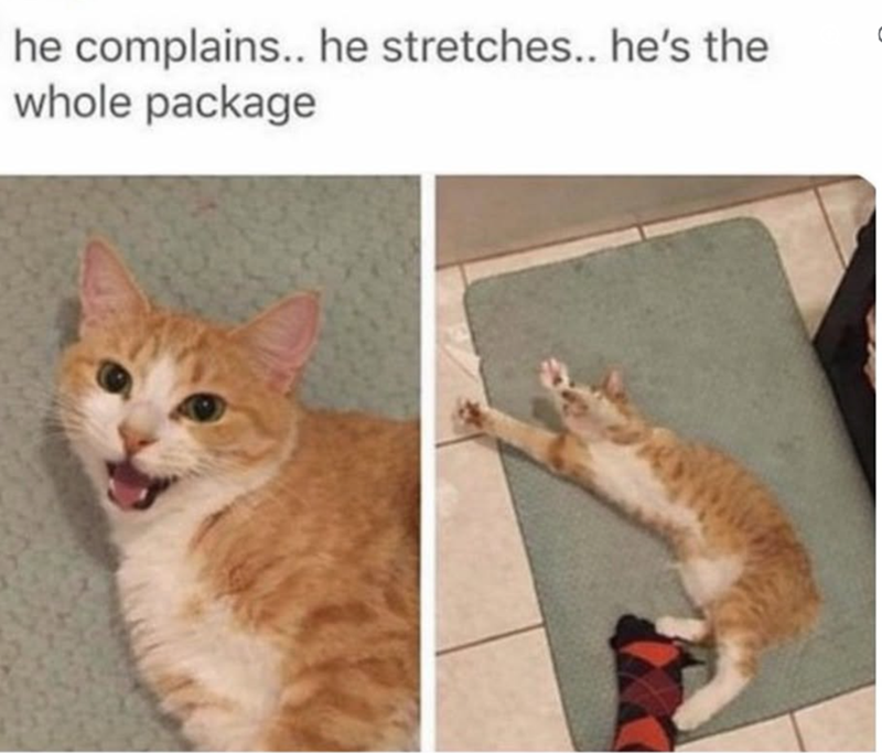 he complains.. he stretches.. he's the whole package
