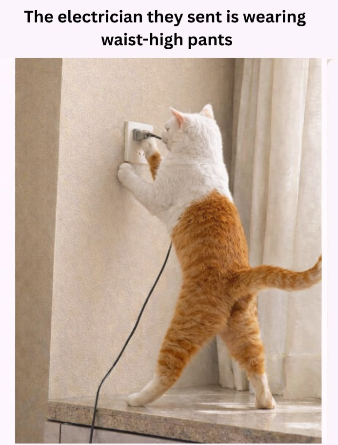 The electrician they sent is wearing waist-high pants