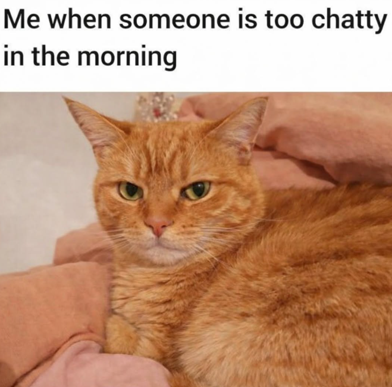 Me when someone is too chatty in the morning