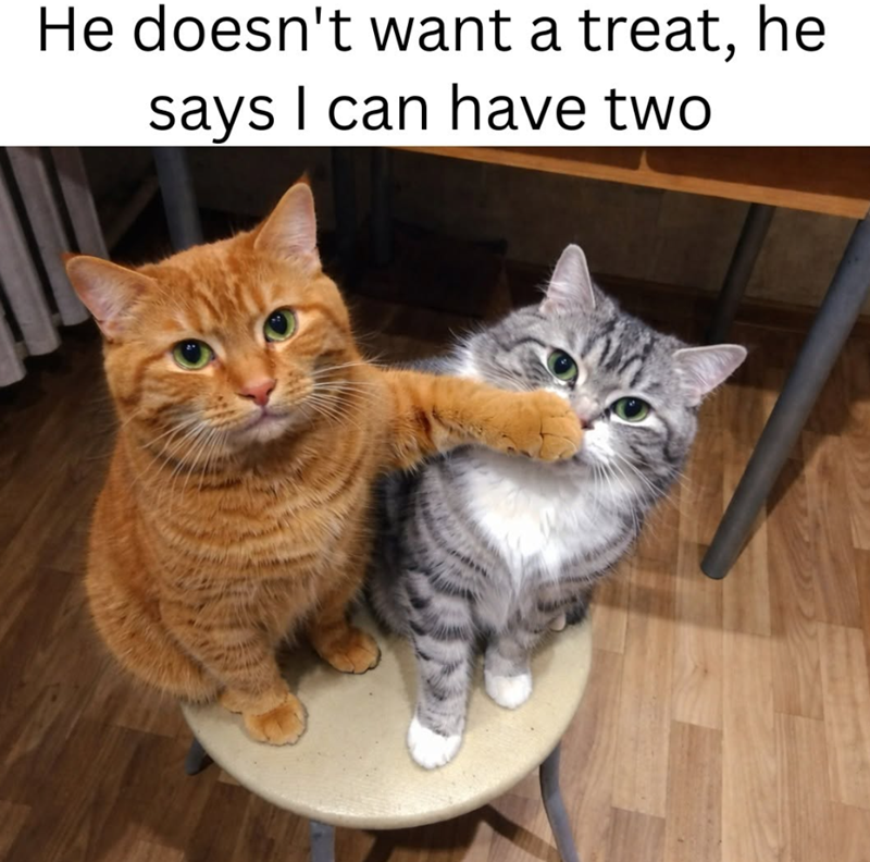 He doesn't want a treat, he says I can have two