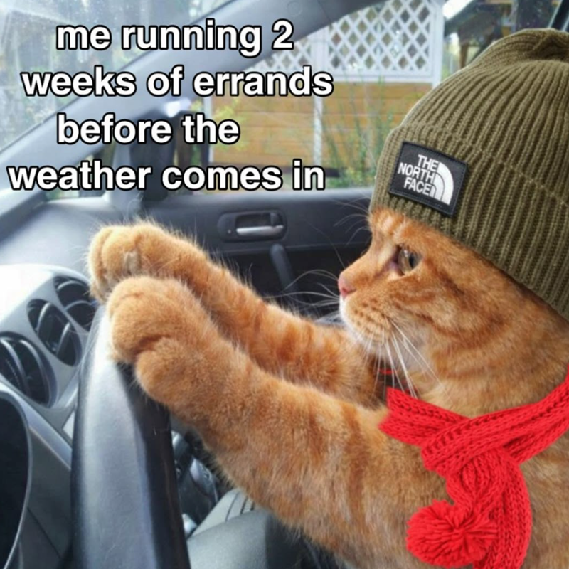 me running 2 weeks of errands before the weather comes in THE NORTH FACE