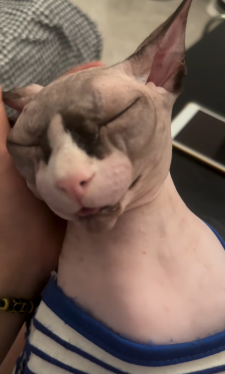 C