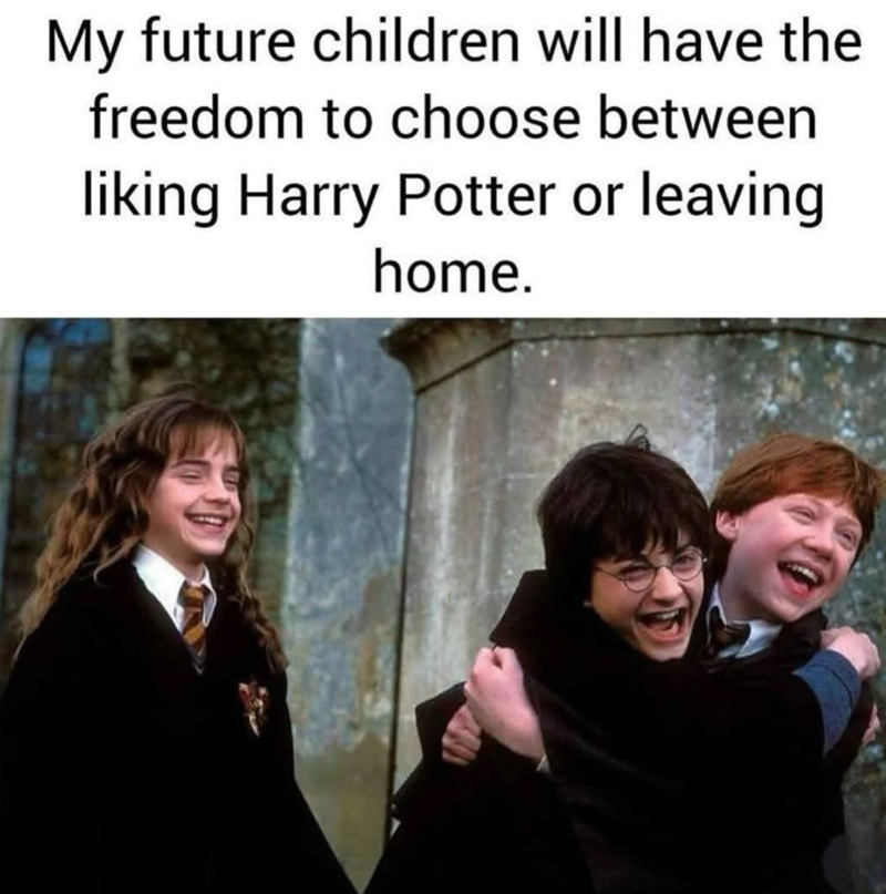 My future children will have the freedom to choose between liking Harry Potter or leaving home.