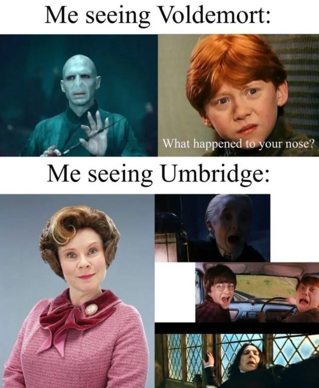 Me seeing Voldemort: What happened to your nose? Me seeing Umbridge: