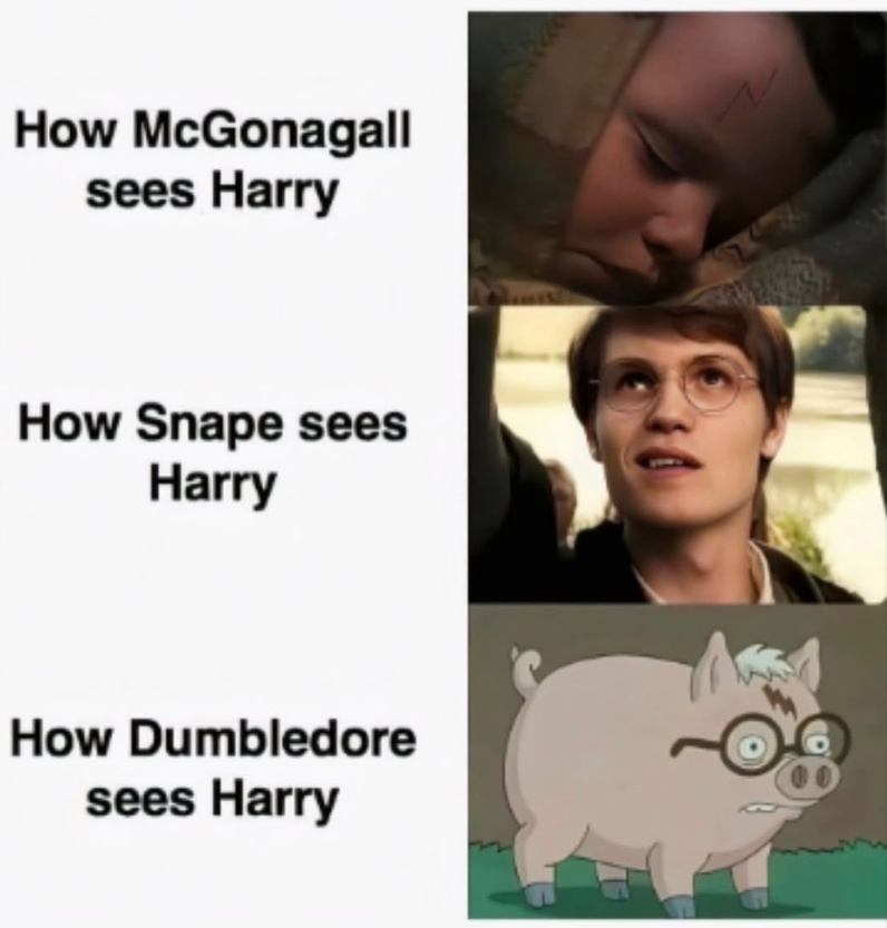 How McGonagall sees Harry How Snape sees Harry How Dumbledore sees Harry