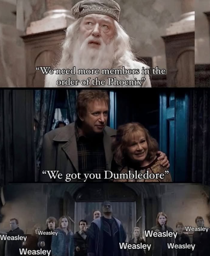 "We need more members in the order of the Phoenix" "We got you Dumbledore” Weasley Weasley Weasley Weasley Weasley Weasley Weasley