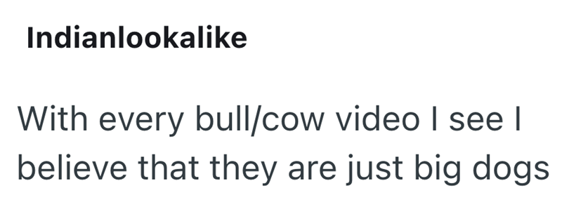 Indianlookalike With every bull/cow video I see I believe that they are just big dogs