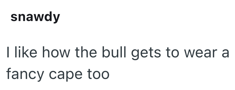 snawdy I like how the bull gets to wear a fancy cape too