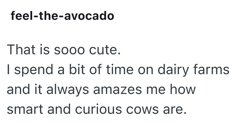 feel-the-avocado That is sooo cute. I spend a bit of time on dairy farms and it always amazes me how smart and curious cows are.