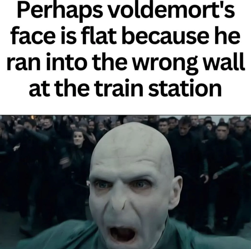 Perhaps voldemort's face is flat because he ran into the wrong wall at the train station