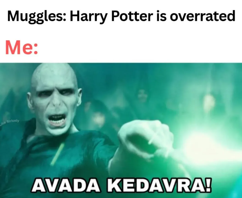Muggles: Harry Potter is overrated Me: Like Siriusly AVADA KEDAVRA!