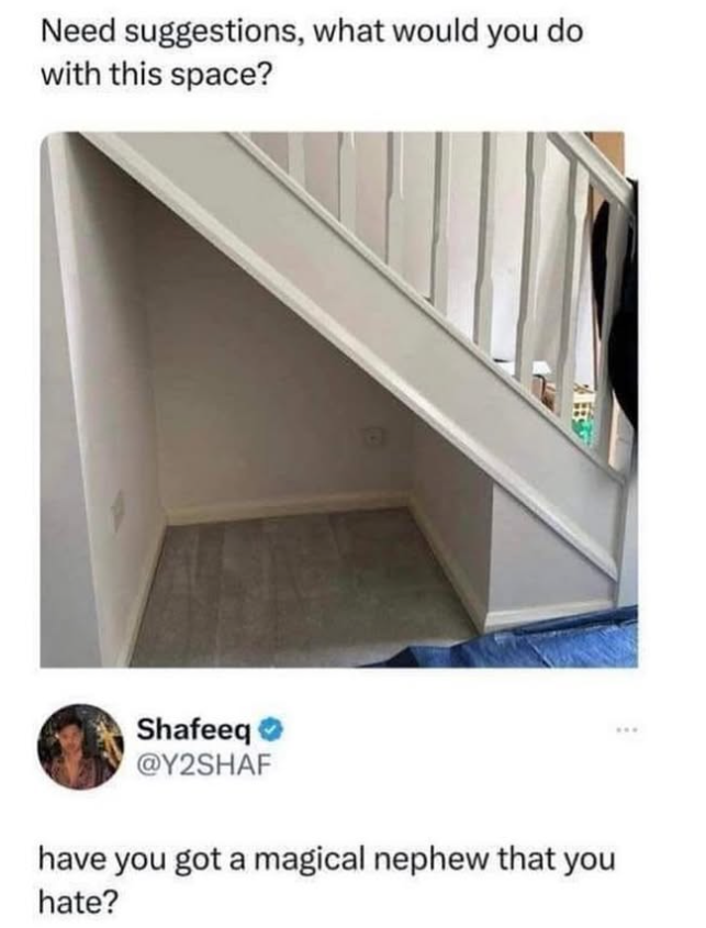 Need suggestions, what would you do with this space? Shafeeq @Y2SHAF have you got a magical nephew that you hate?