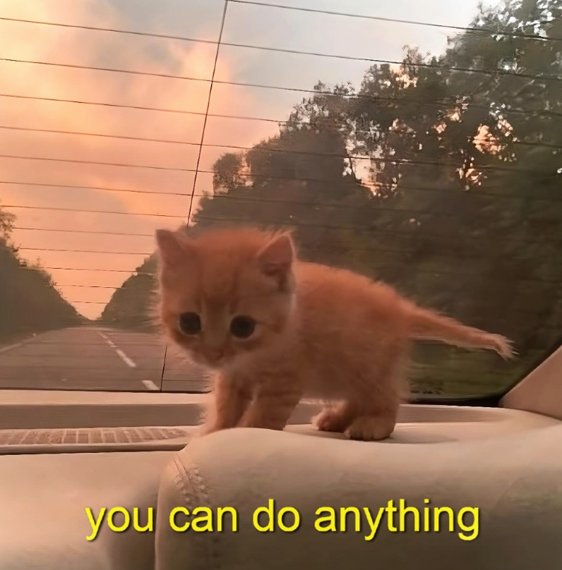 you can do anything