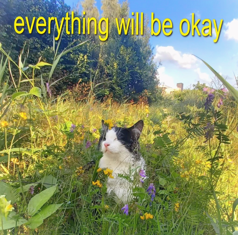 everything will be okay