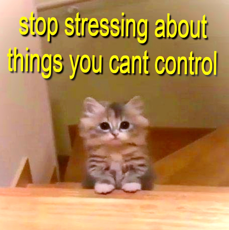stop stressing about things you cant control