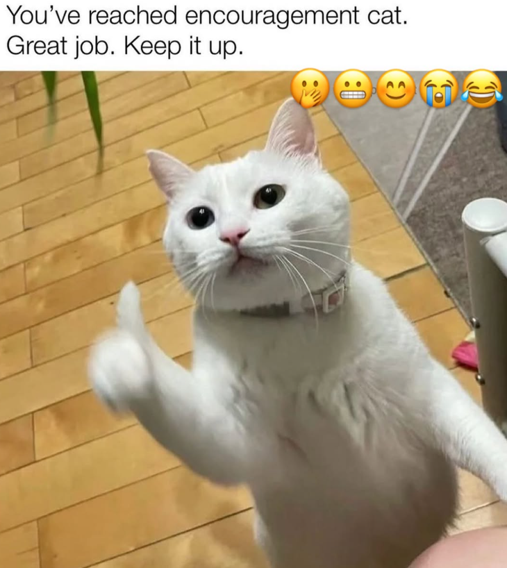 You've reached encouragement cat. Great job. Keep it up.