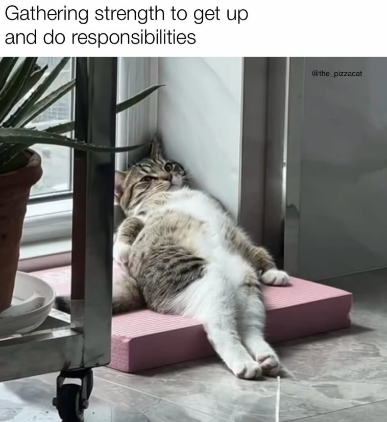 Gathering strength to get up and do responsibilities @the_pizzacat