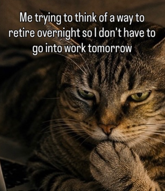 Me trying to think of a way to retire overnight so I don't have to go into work tomorrow
