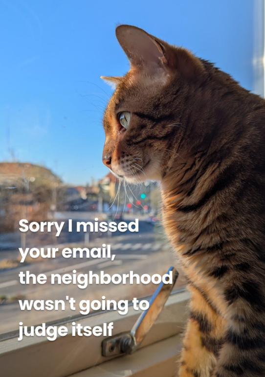 Sorry I missed your email, the neighborhood wasn't going to judge itself
