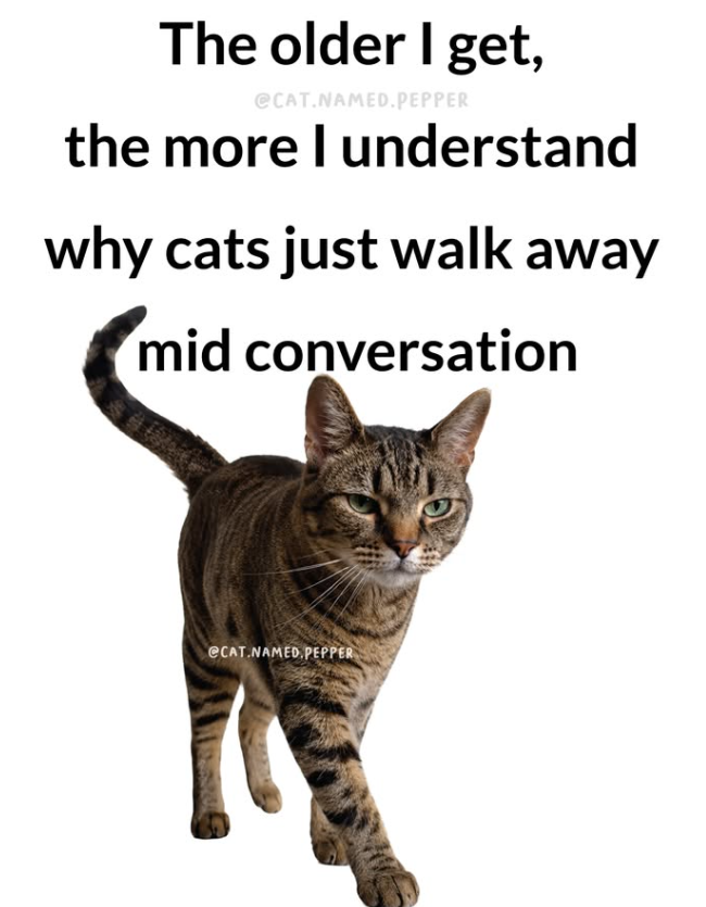 The older I get, @CAT.NAMED.PEPPER the more I understand why cats just walk away mid conversation eCAT NAMED PEPPER