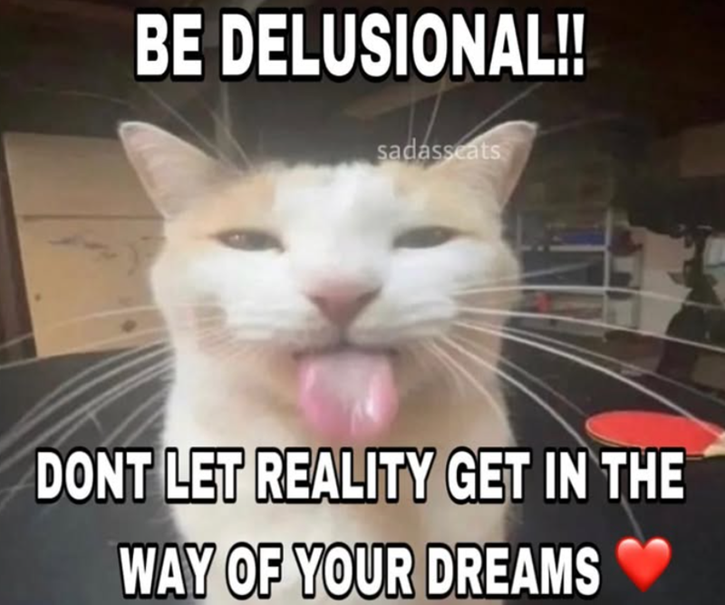 BE DELUSIONAL!! sadasseats DONT LET REALITY GET IN THE WAY OF YOUR DREAMS